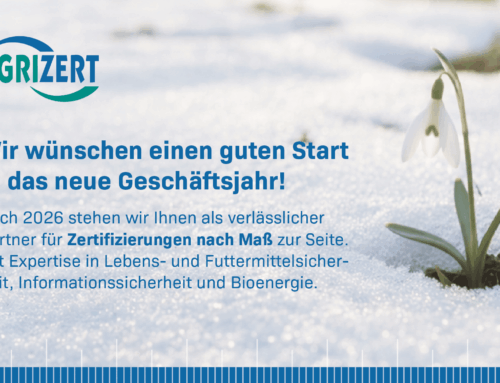 Frohes neues Jahr 2026